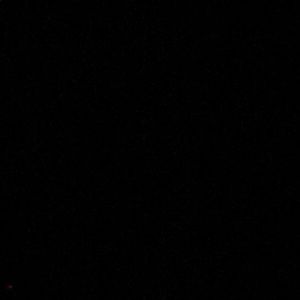 Meet your Posher, Keya